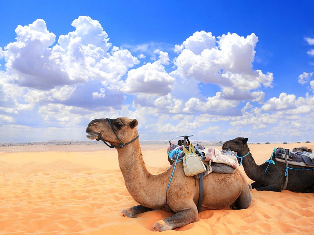 3-day desert tour from Fes to Marrakech