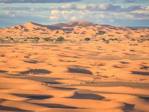 4-day desert tour from Marrakech to Fes in Morocco