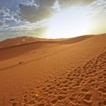 8-day Merzouga desert tour in Morocco
