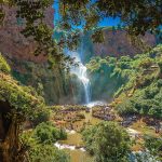 Ouzoud Falls Day trip from Marrakech