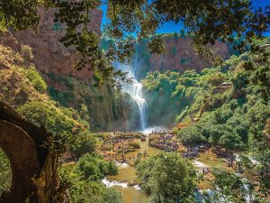 Ouzoud Falls Day trip from Marrakech