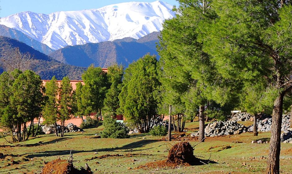 Visit Morocco at azrou