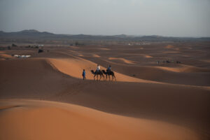 8-day tour in Morocco