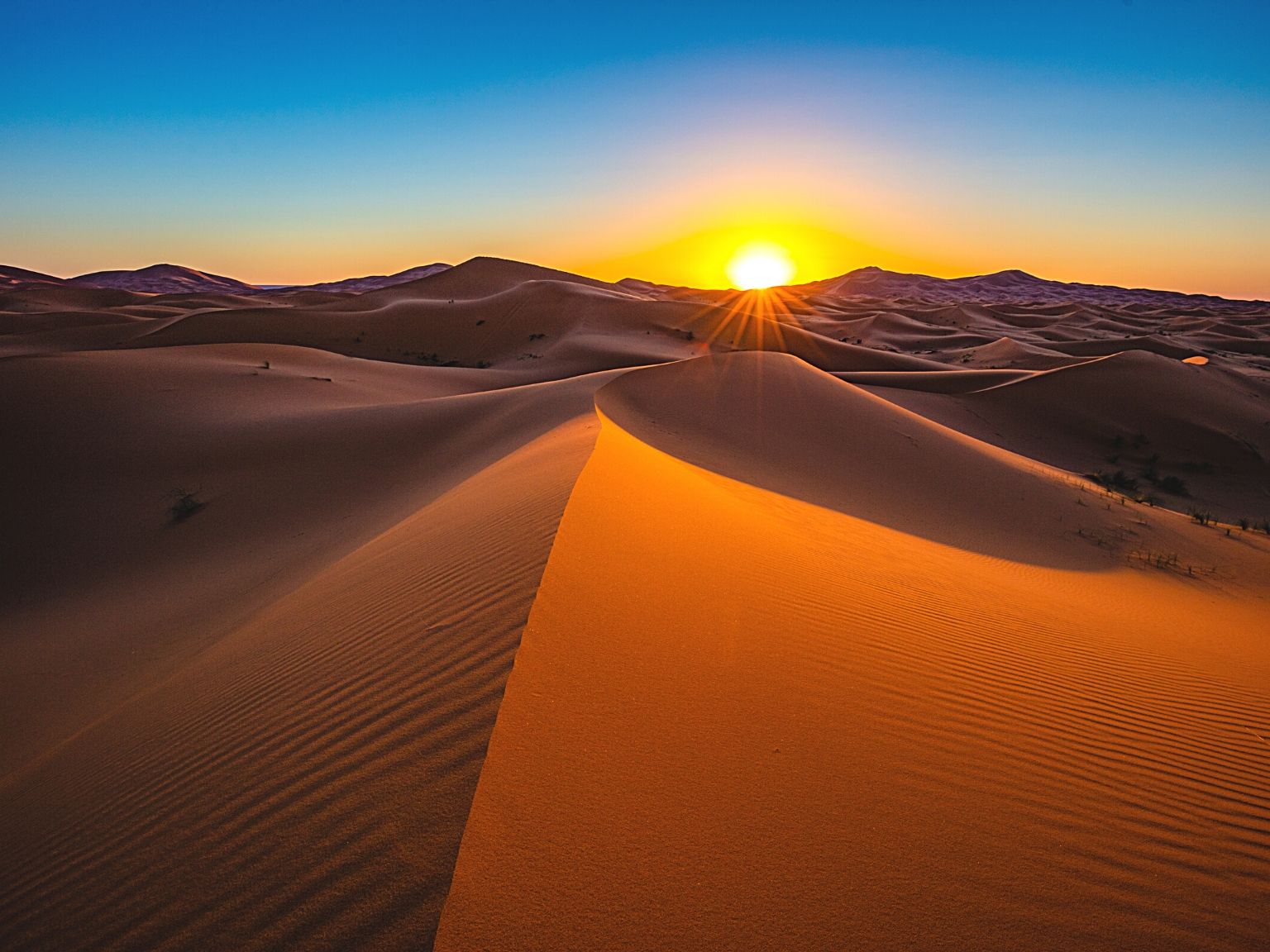 desert day tours morocco