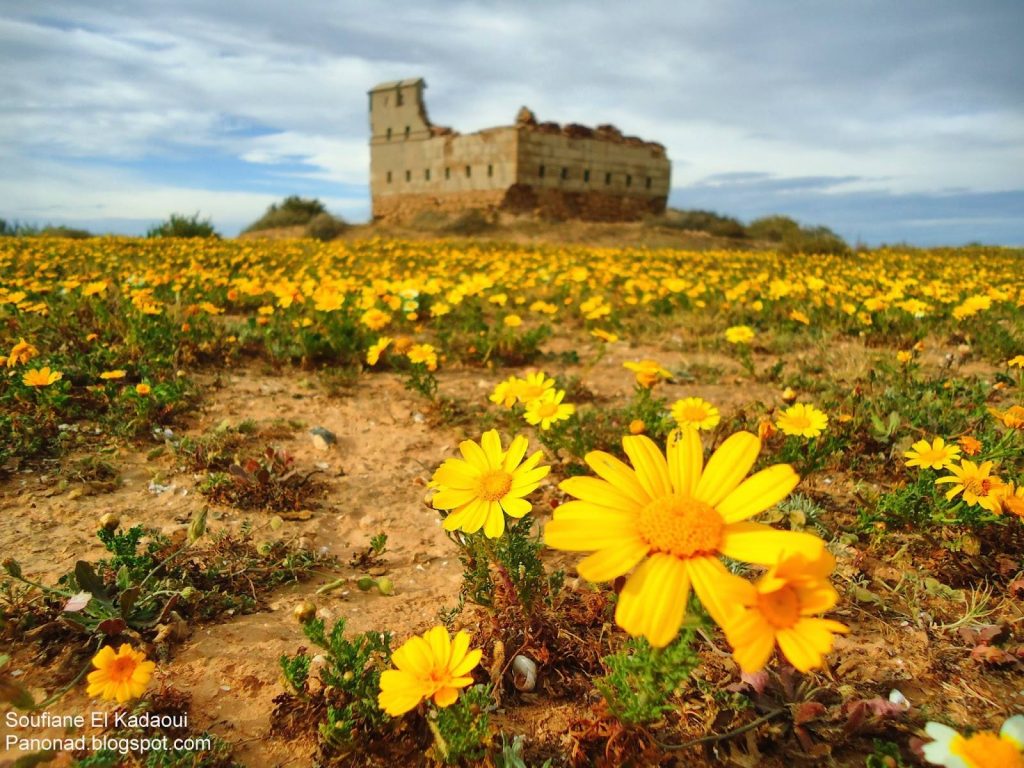 Aljazira Tower Archaeological site Morocco