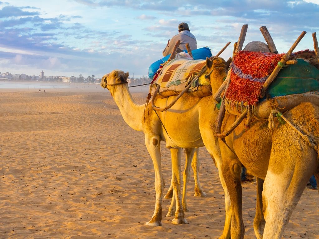 Essaouira beach in Morocco