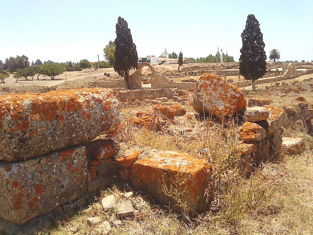 Iulia Valentia Banasa Roman City Archaeological site Morocco