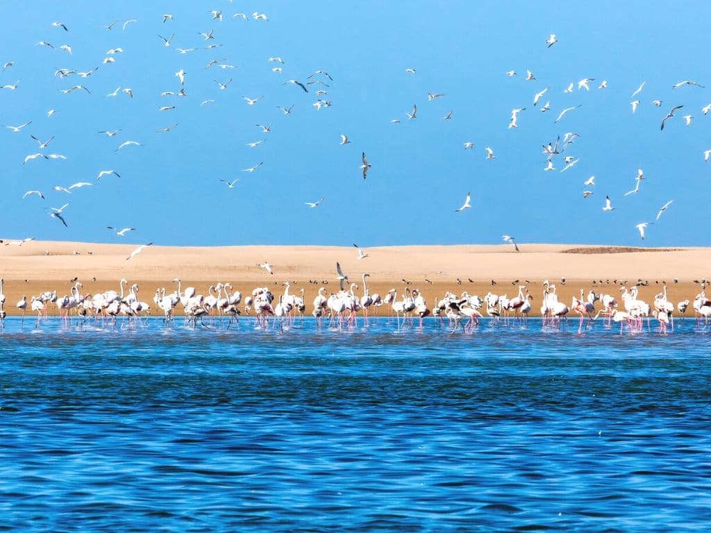 Khenifiss National Park in Morocco