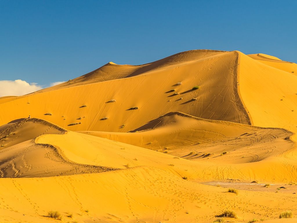 Merzouga Desert