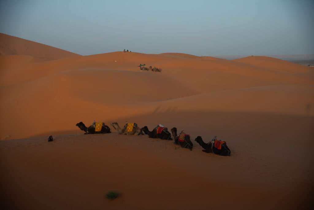 5-day tour in Morocco