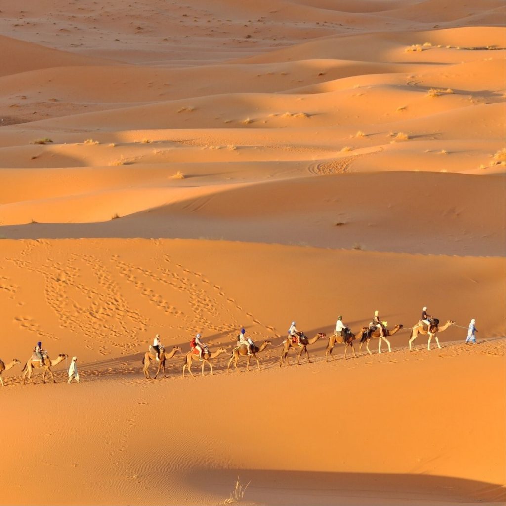 Camel trekking Merzouga