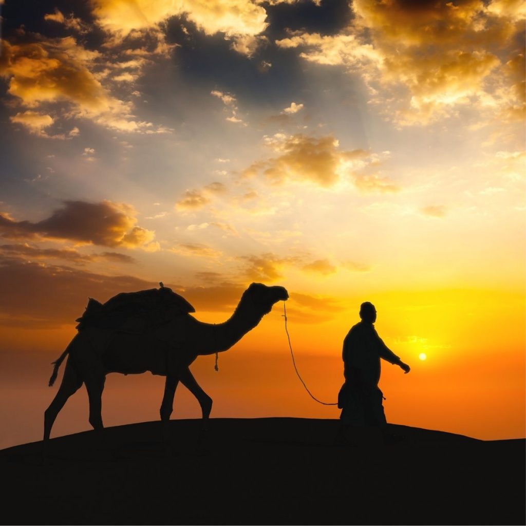 Camel trekking Zagora