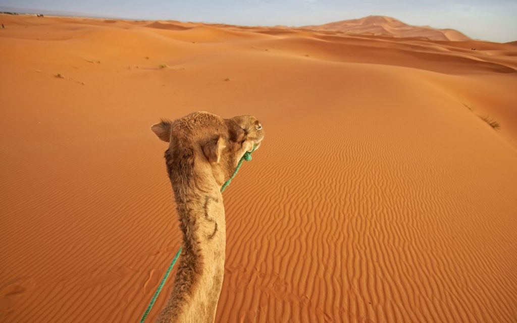 morocco holiday tours