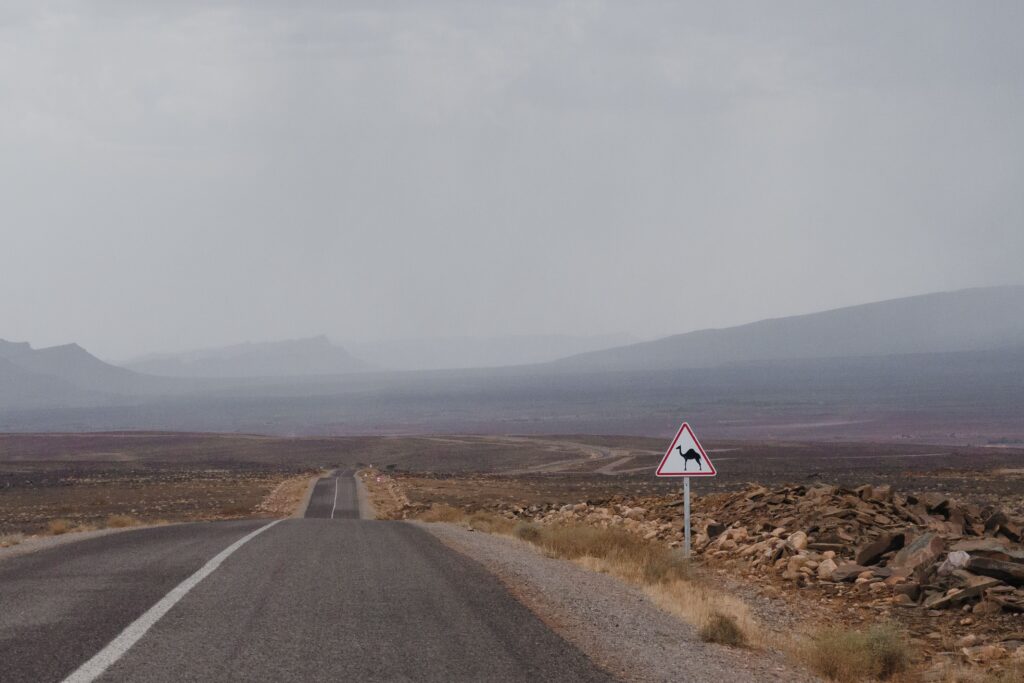 Lonely road in Drâa-Tafilalet, Morocco with camel crossing sign under cloudy skies.