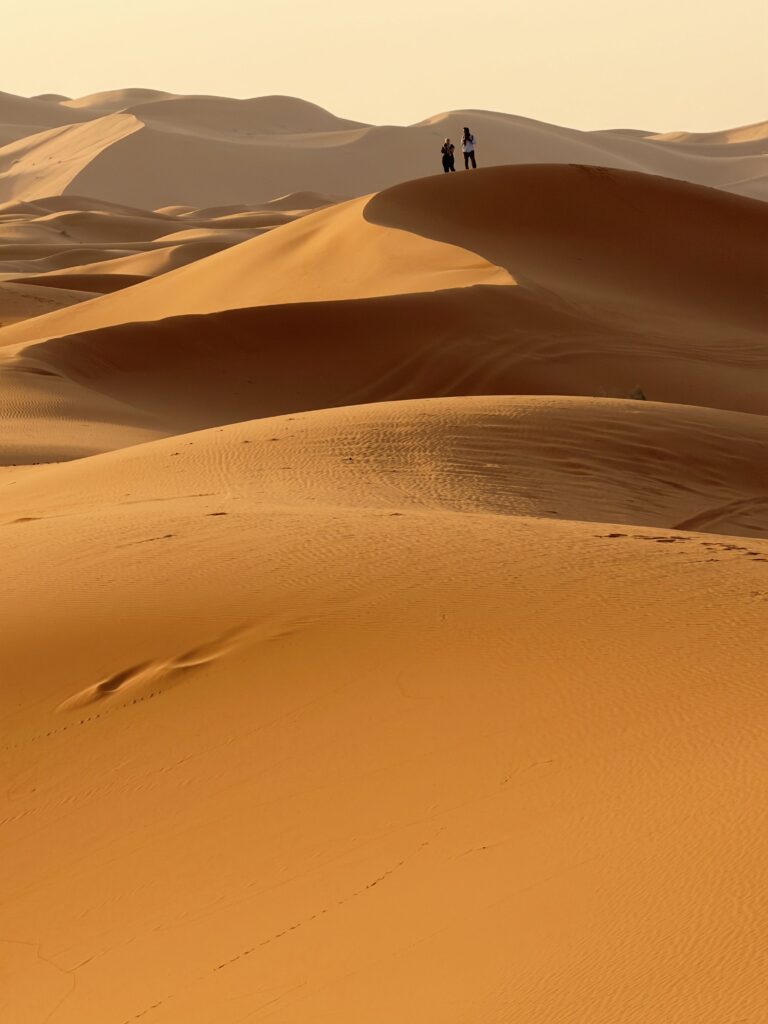 Two people stand atop the golden sand dunes of the Sahara Desert, showcasing its vast beauty.